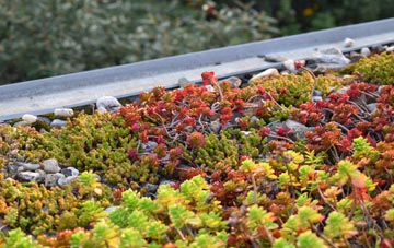 the cost of Lower Zeals green roof installation
