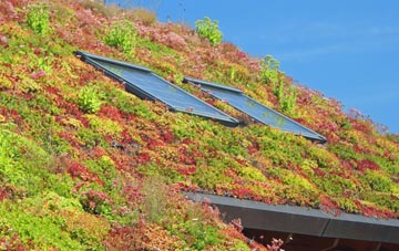 Lower Zeals living roof systems